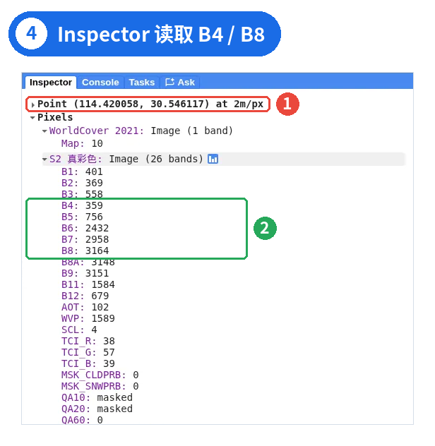 图 4 | ① 点击位置与读取尺度(at 2m/px) ② 林地像元 B4 = 359、B8 = 3164